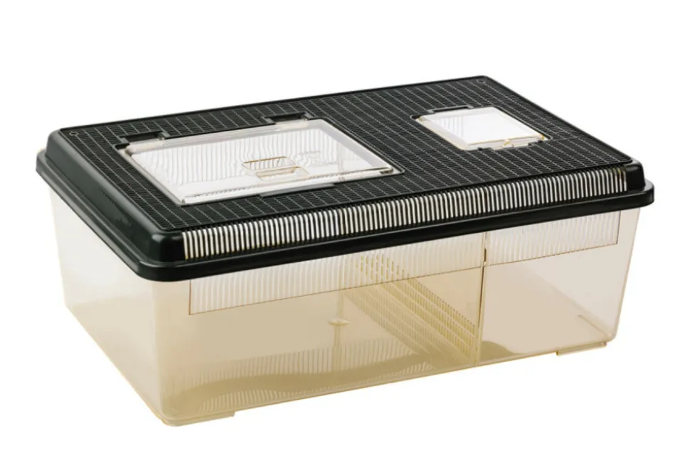 EXO TERRA - Terrarium polyvalent en plastique - faunarium plat large pour reptiles (lézards, serpents), amphibiens et invertébrés