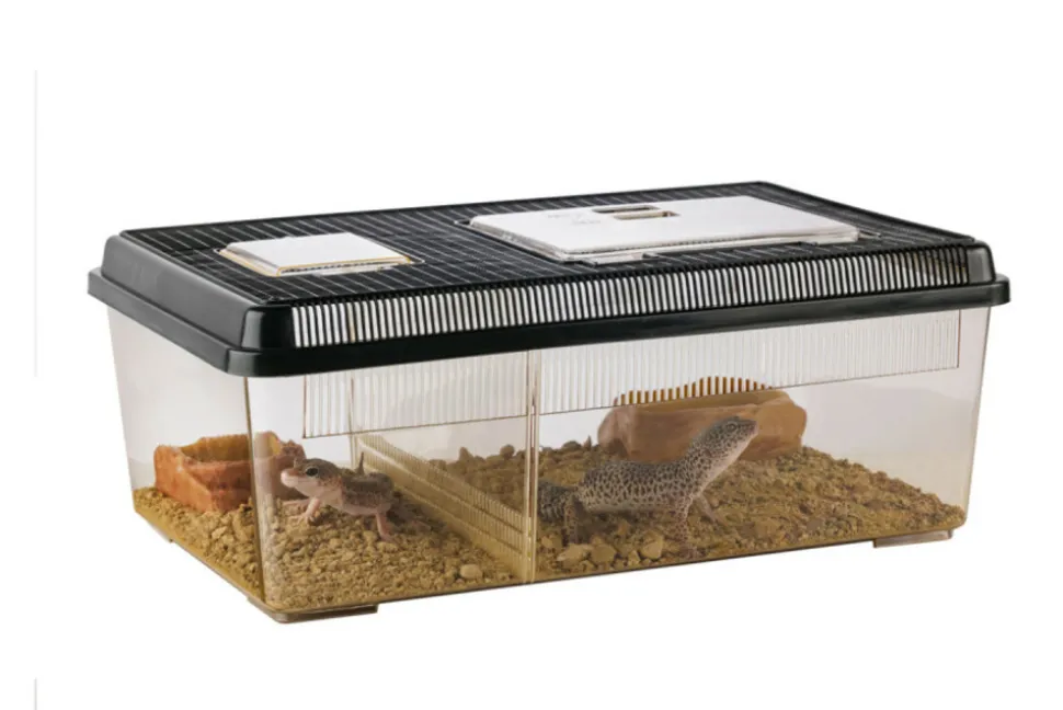 EXO TERRA - Terrarium polyvalent en plastique - faunarium plat large pour reptiles (lézards, serpents), amphibiens et invertébrés