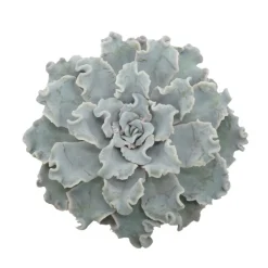 EXOTENHERZ - Echeveria crispy beauty succulente facile d'entretien pot 12cm