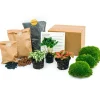 EXOTENHERZ - Green your bottle - set complet pour ton jardin de bouteilles - sans verre - 3 plantes (caféier + 2x fittonia)