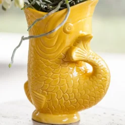 EXOTENHERZ - Kolibri company set cadeau mediterranean sunset avec orchidée phalaenopsis blanche lausanne et plantes succulentes,