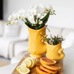 EXOTENHERZ - Kolibri orchids orchidée blanche nazaré + pot à poisson orange - taille de pot 9cm