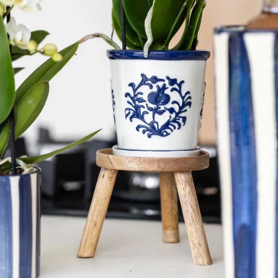 EXOTENHERZ - Kolibri orchidée phalaenopsis blanche amabilis + pot décoratif malaga bleu - taille du pot 9cm plante d'intérieur fleurie