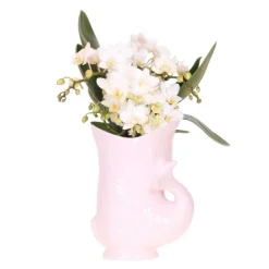 EXOTENHERZ - Kolibri orchids orchidée blanche nazaré + pot à poisson rose - taille de pot 9cm