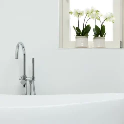 EXOTENHERZ - Orchidée phalaenopsis blanche - jewel ghent - taille du pot 12cm - frais du producteur