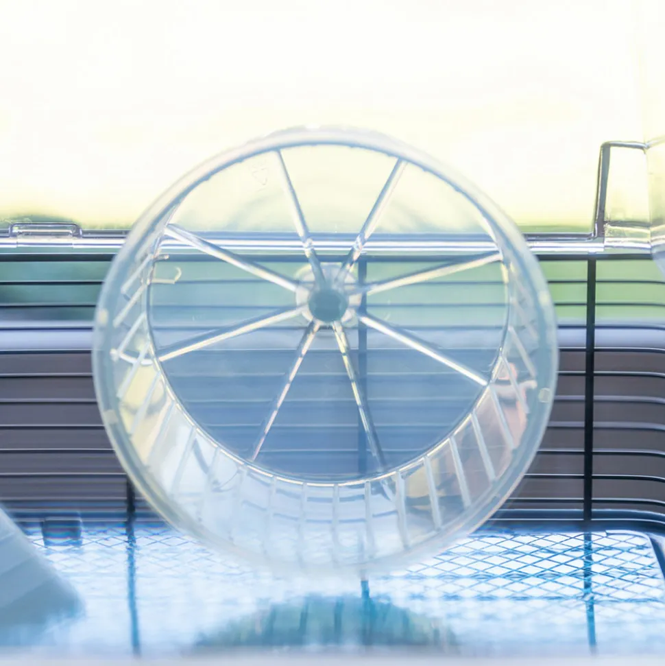 FERPLAST - Cage hamsters souris ferplast duna fun large grande taille accessoirisée