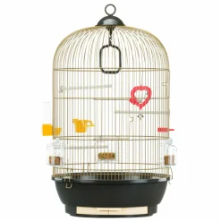 Ferplast cage à oiseaux diva cage pour oiseaux, canaris, pinsons, perruches ondulées, inséparables, en métal, accessoires inclus