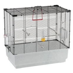 Ferplast cage oiseau piano 4, cage canari oiseaux, avec mangeoires, abreuvoir pour oiseaux, 59 x 33 x h 55 cm, avec accessoires,