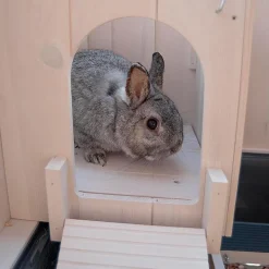 Ferplast clapier d'intérieur cottage mini, cochons d'inde, bois fsc, structure à 2 étages, accessoires inclus