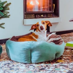 Ferplast divan pour chats et chiens queen 60 con coussin, couchage rembourré pour animaux, double-face, velours doux, lavable,