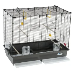 Ferplast grande cage pour canaris, perruches et oiseaux exotiques piano 6, avec mangeoires pivotantes et accessoires