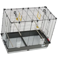 Ferplast grande cage pour canaris, perruches et oiseaux exotiques piano 6, avec mangeoires pivotantes et accessoires