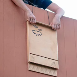 Ferplast maison pour chauve-souris bat house nid pour chauve-souris en bois fsc, protection contre les moustiques et insectes