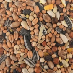 FLAMINGO - Mélange de graines toutes saisons pour oiseaux sac de 1 kg