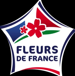 FLEURON D'ANJOU - Plant de sarriette pot de 1l