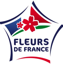 FLEURON D'ANJOU - Plant de thym citron pot de 1l