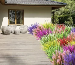 Fleurs de lavande artificielles - rouge