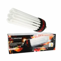 FLORASTAR - Lampe cfl 250w floraison 2100k°
