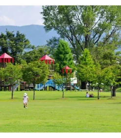 FLORIVERT - Gazon à semer terra rustique 10 kg pour peu d'entretien et bel aspect estival - florivert 1201636