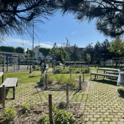 FLORIVERT - Graines de pelouse terra terre pierre 1 kg résistantes au sec, idéal robot tondeuse - florivert 1206460