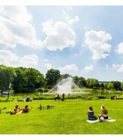 FLORIVERT - Semences gazon terra paysage 5 kg pour un gazon fin et dense facile à établir - florivert 1206454