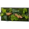 FLOWERBOX - Tableau végétal stabilisé canopé rectangle 57 x 27 cm