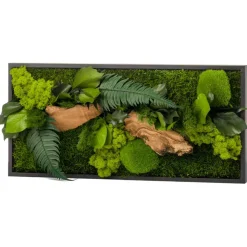 FLOWERBOX - Tableau végétal stabilisé canopé rectangle 57 x 27 cm