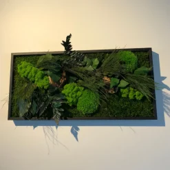 FLOWERBOX - Tableau végétal stabilisé canopé rectangle 57 x 27 cm