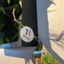 FLOWERBOX - Tableau végétal stabilisé canopé rectangle 57 x 27 cm