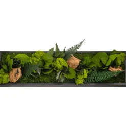 FLOWERBOX - Tableau végétal stabilisé canopé panoramic 70 x 20 cm