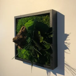 FLOWERBOX - Tableau végétal stabilisé canopé mono