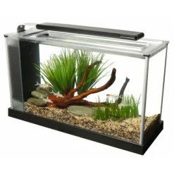 FLUVAL - Aquarium spec blanc 19l