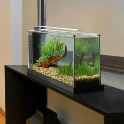 FLUVAL - Aquarium spec blanc 19l