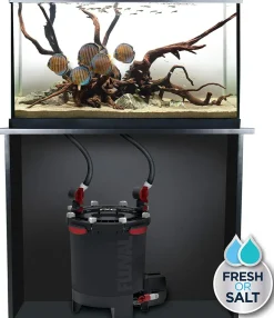 FLUVAL - Filtre externe fx6 3500 lph