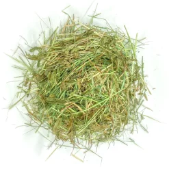 Foin aromatisé aux feuilles de tilleul pour lapins et rongeurs