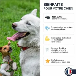 FRANCE CROQUETTES - Bâtonnets de buffle (chiot et senior) - 500gr - france croquettes