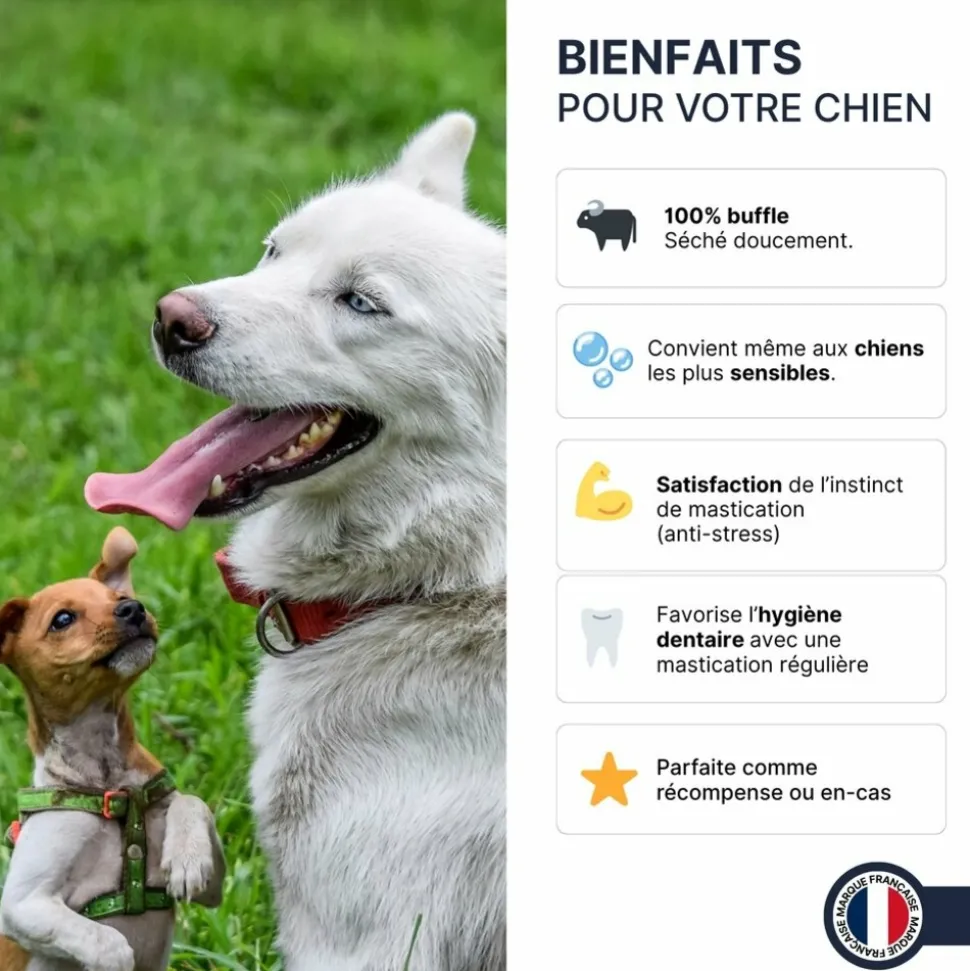 FRANCE CROQUETTES - Bâtonnets de buffle (chiot et senior) - 500gr - france croquettes