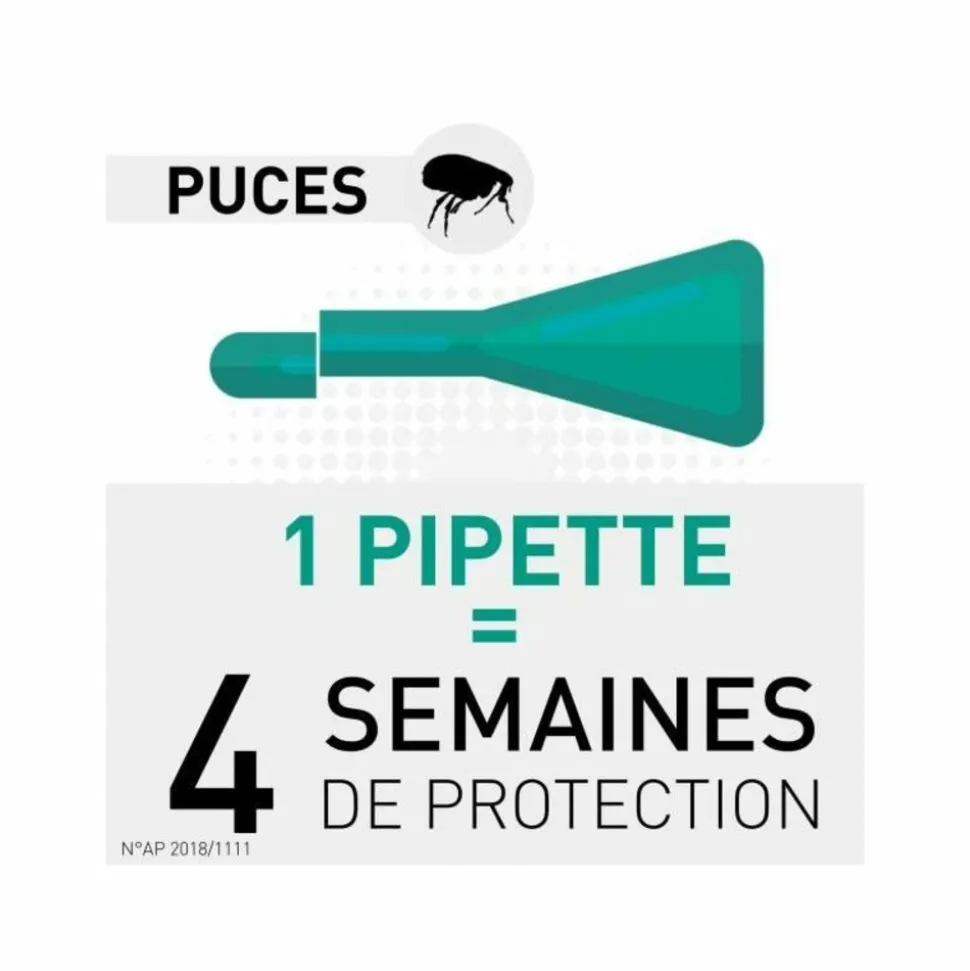 FRONTLINE - Frontline chat spot on - boehringer 1 pipette