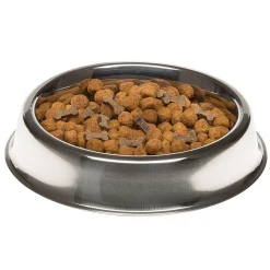 Gamelle en acier inoxydable relevé antidérapant chiens chats ferplast supernova