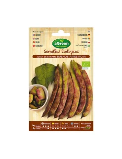 GÉNÉRIQUE - Sachet de graines eco haricots buenos aires red agreen