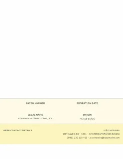 GÉNÉRIQUE - Toile d'araignée halloween avec 2 araignées 50x40cm