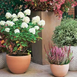 GOICOECHEA - Cuvier bas Contemporain en terre cuite Ø 25 x H. 18cm