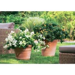 GOICOECHEA - Cuvier Contemporain en terre cuite Ø 47 x H. 48cm