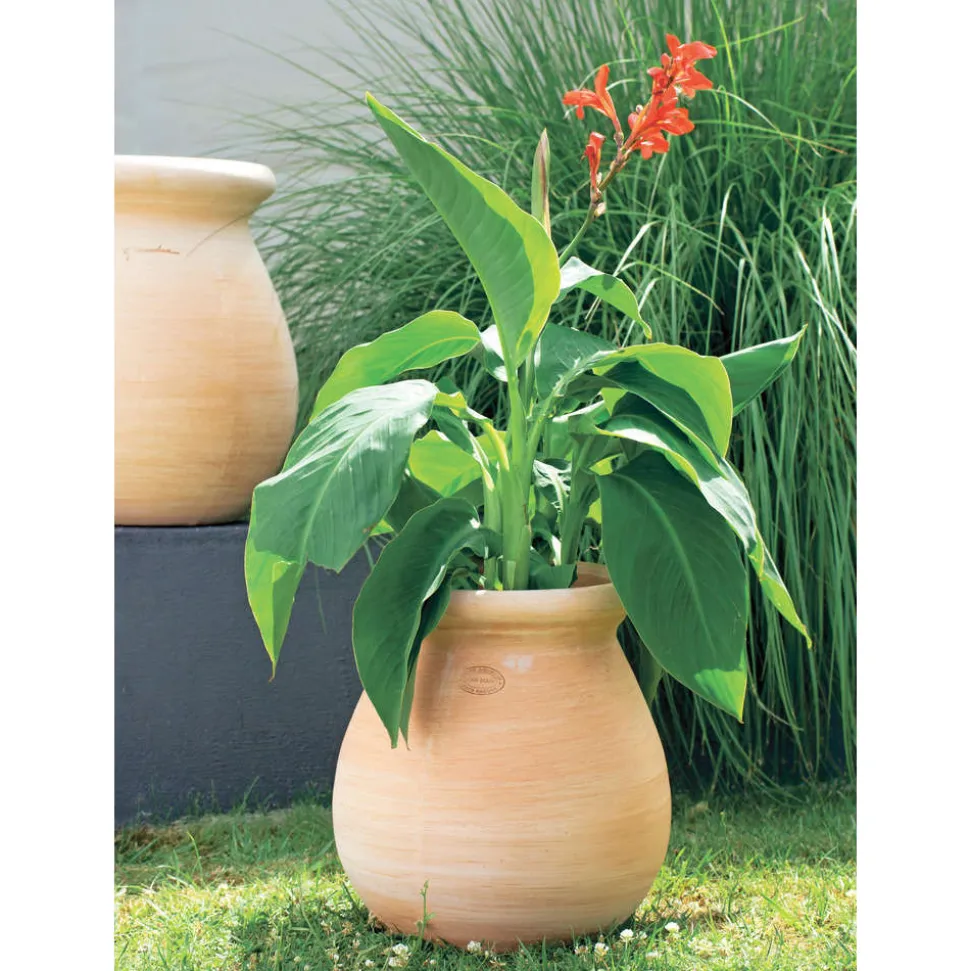 GOICOECHEA - Jarre Provençale en terre cuite Ø 24 x H. 35cm