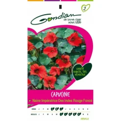 GONDIAN - Capucine naine imperatrice des indes rouge foncé