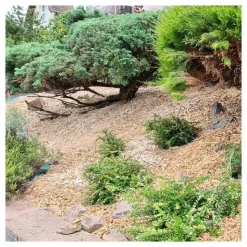 GUEULES DES BOIS - Mulch paillage couvre sol 125 litres naturel