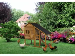 HABITAT ET JARDIN - Poulailler "lily" avec pondoir en bois - marron