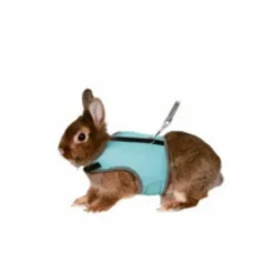 Harnais doux pour lapin nain