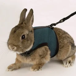 Harnais jogging ferplast petits rongeurs filet nylon agrafe à déclic et avec velcro