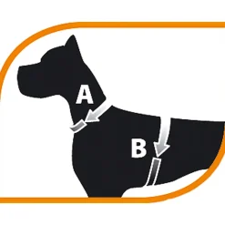 Harnais pour lapins jogging l, en filet perforé, équipé d'une laisse élastiquée